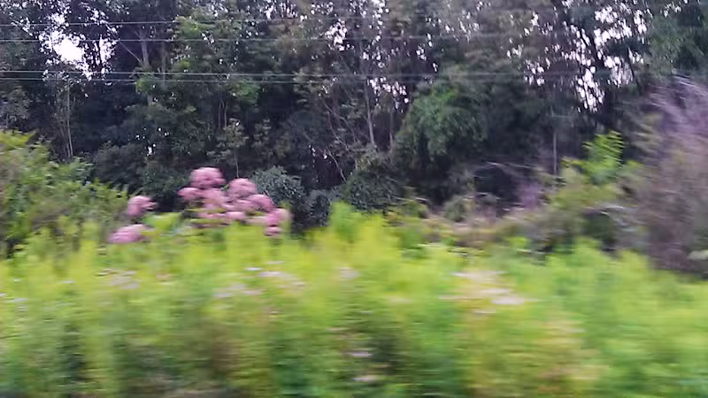 Sagamore Hills Township Park - Sagamore Hills, OH