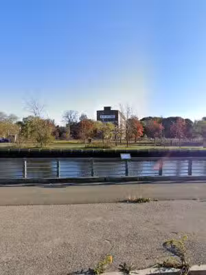 Dog park - Salem, MA