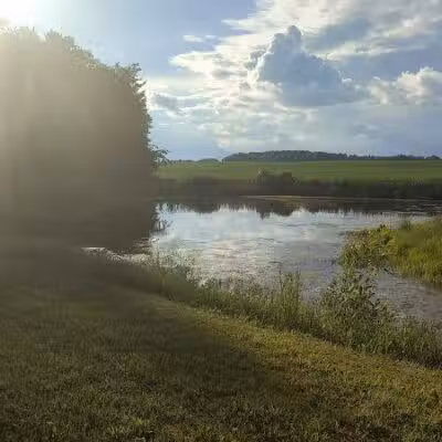 Bricker Homestead Walking Park - Salem, OH