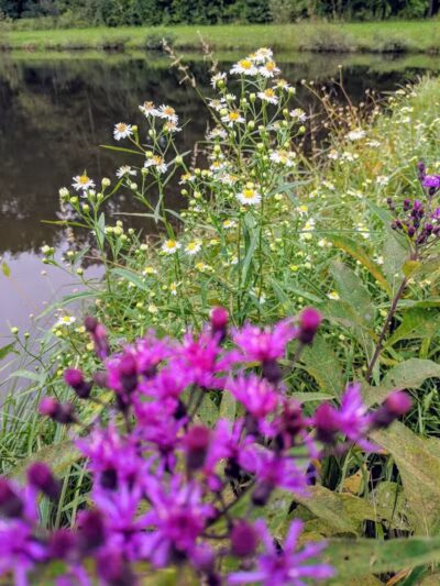 Bricker Homestead Walking Park - Salem, OH