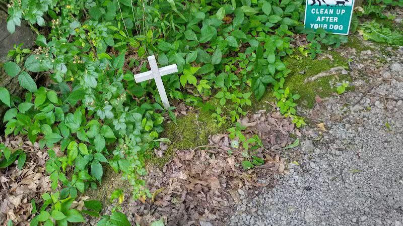 Bricker Homestead Walking Park - Salem, OH