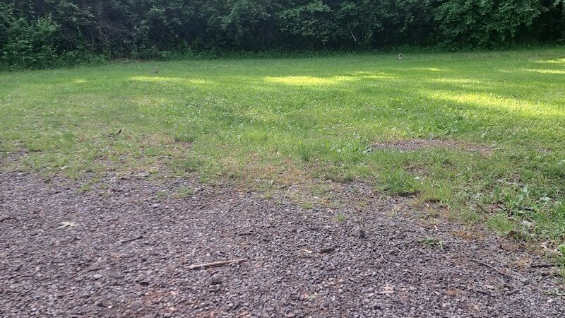 Waterworth Memorial Dog Park - Salem, OH