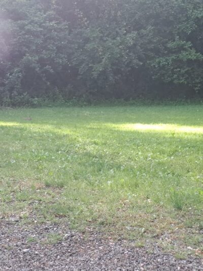 Waterworth Memorial Dog Park - Salem, OH