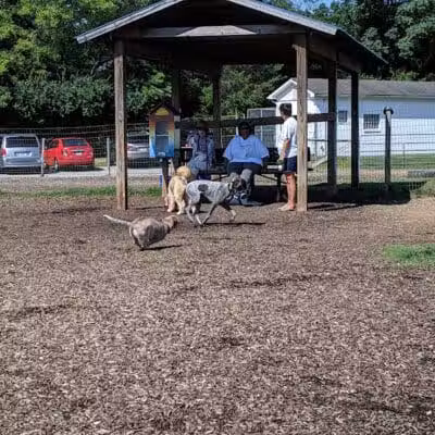 Salem Rotary Dog Park - Salem, VA