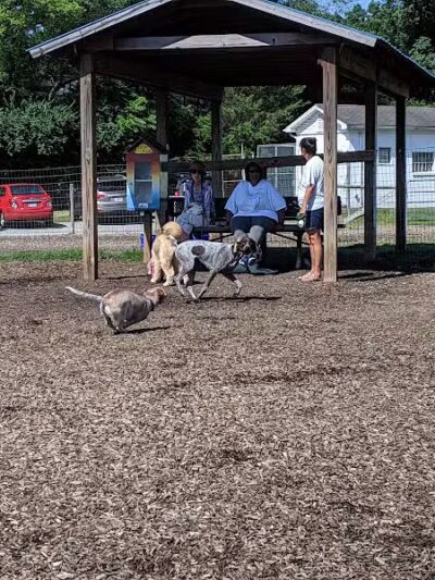 Salem Rotary Dog Park - Salem, VA