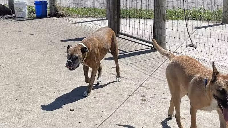 Salem Rotary Dog Park - Salem, VA