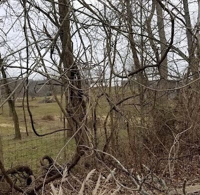 Rest Stop w/ Dog Walking sleep - Salesville, OH