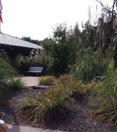 Rest Stop w/ Dog Walking sleep - Salesville, OH