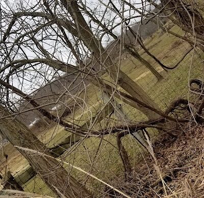 Rest Stop w/ Dog Walking sleep - Salesville, OH