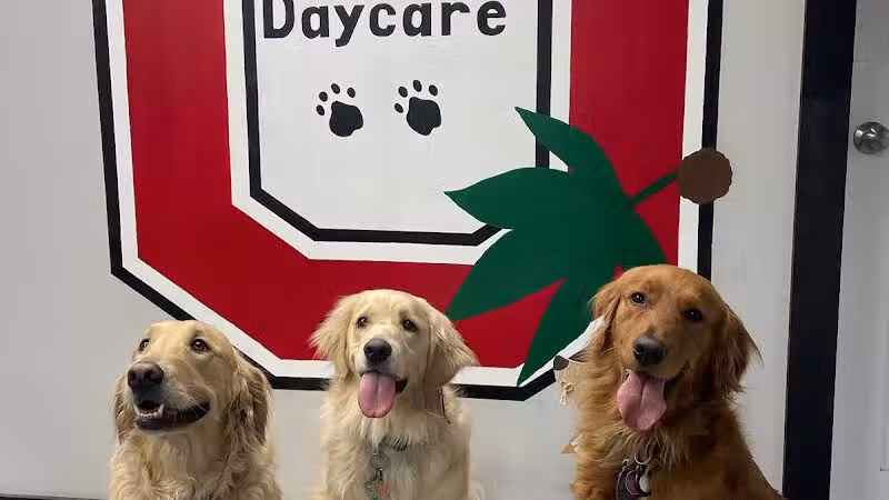 Buckeye Furry Friends Doggie Daycare - Sandusky, OH