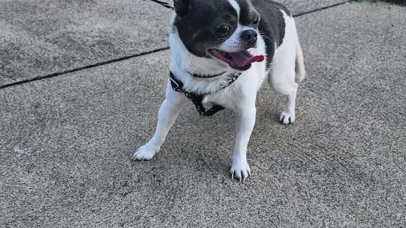 Cedar Point Pet Chek - Sandusky, OH