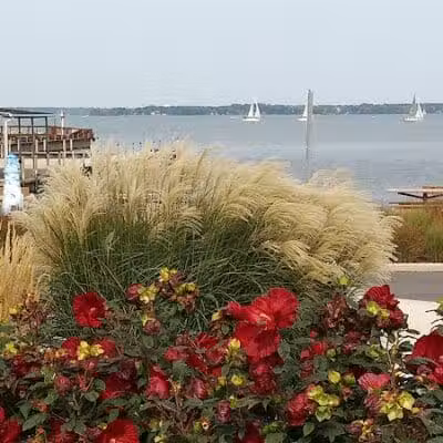 Facer Park - Sandusky, OH - Sandusky, OH