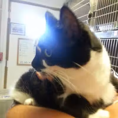 Humane Society of Erie County - Sandusky, OH