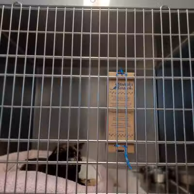 Humane Society of Erie County - Sandusky, OH
