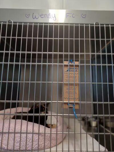 Humane Society of Erie County - Sandusky, OH