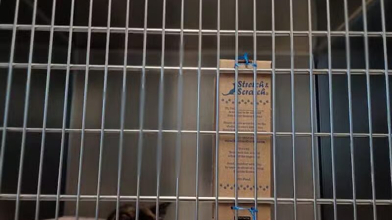 Humane Society of Erie County - Sandusky, OH
