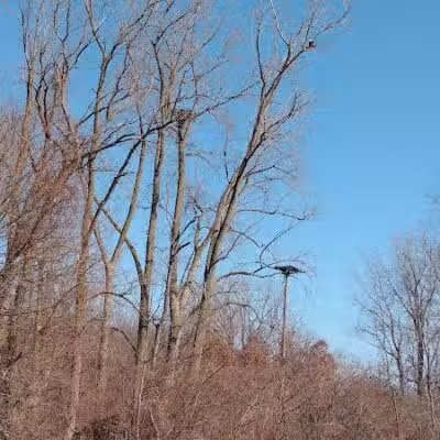 Pelton Park - Sandusky, OH