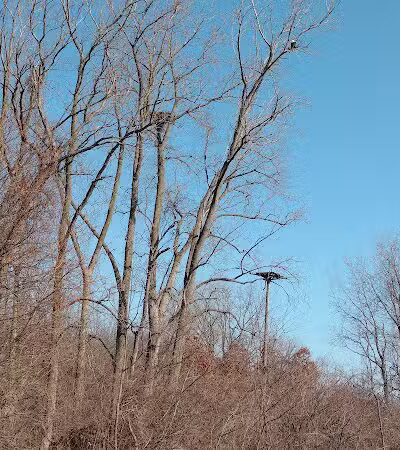 Pelton Park - Sandusky, OH