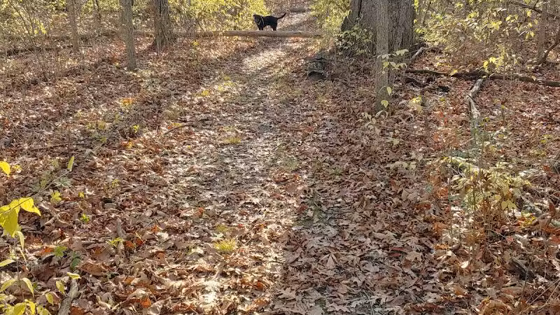 Pelton Park - Sandusky, OH