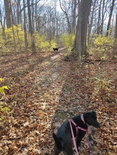 Pelton Park - Sandusky, OH