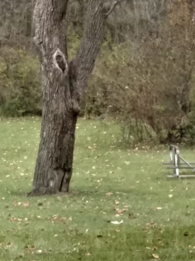 Pelton Park - Sandusky, OH