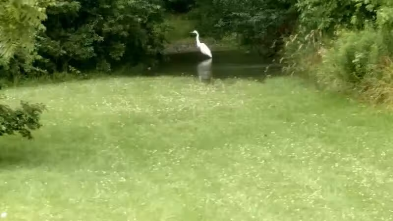 Pelton Park - Sandusky, OH