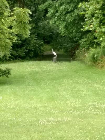 Pelton Park - Sandusky, OH