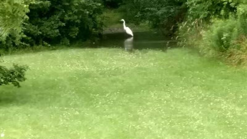 Pelton Park - Sandusky, OH