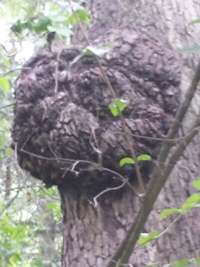 Pelton Park - Sandusky, OH