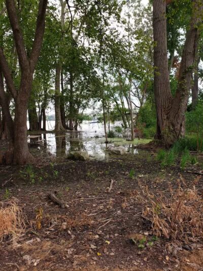 Pipe Creek Wildlife Area - Sandusky, OH - Sandusky, OH