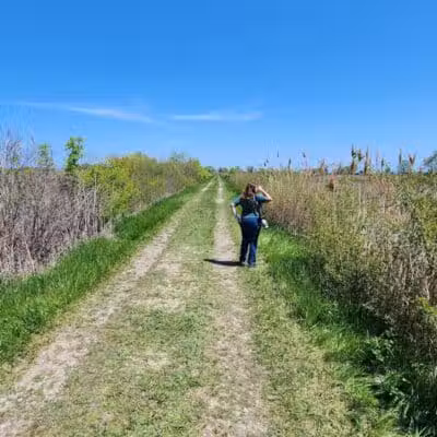 Pipe Creek Wildlife Area - Sandusky, OH - Sandusky, OH