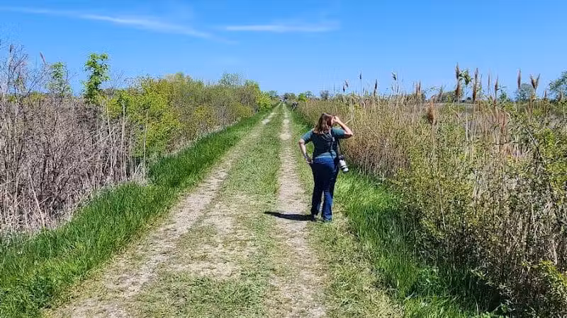 Pipe Creek Wildlife Area - Sandusky, OH - Sandusky, OH