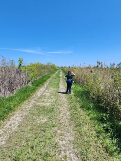 Pipe Creek Wildlife Area - Sandusky, OH - Sandusky, OH