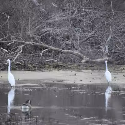 Pipe Creek Wildlife Area - Sandusky, OH - Sandusky, OH