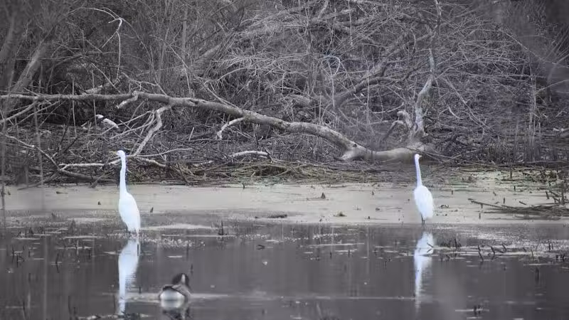 Pipe Creek Wildlife Area - Sandusky, OH - Sandusky, OH