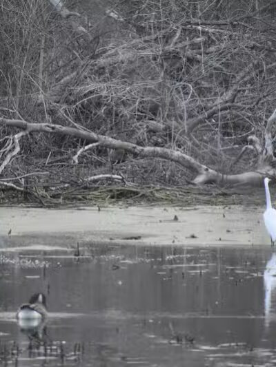 Pipe Creek Wildlife Area - Sandusky, OH - Sandusky, OH