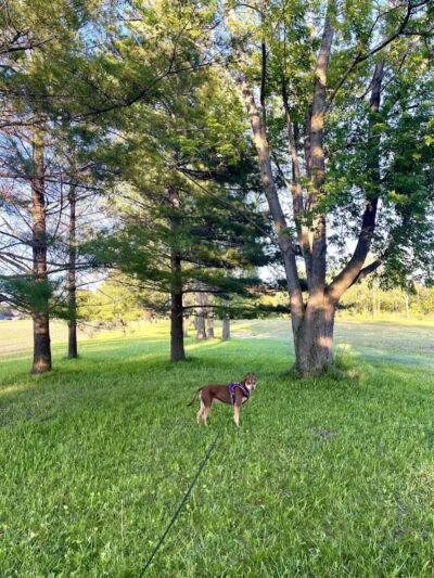 Strickfaden Park - Sandusky, OH - Sandusky, OH