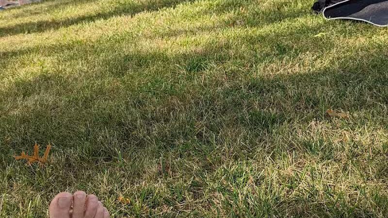 Strickfaden Park - Sandusky, OH - Sandusky, OH