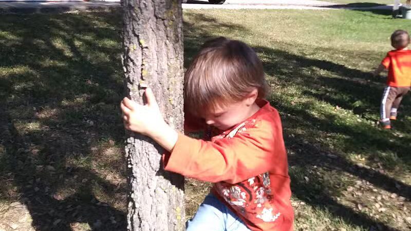 Sardinia Park - Sardinia, OH