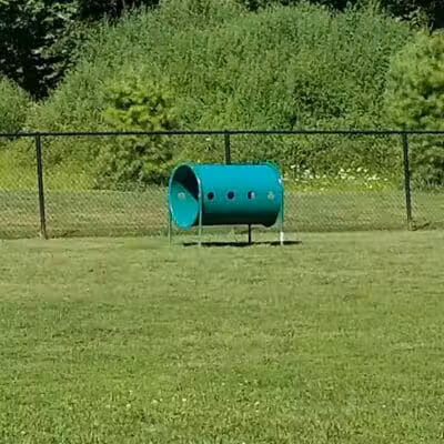 Andersen Dog Park - Schenectady, NY