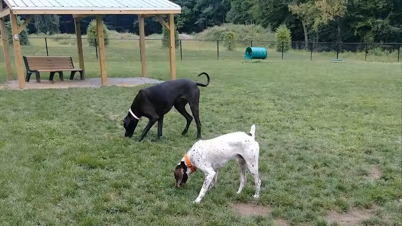 Andersen Dog Park - Schenectady, NY