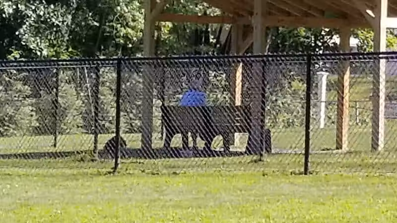 Andersen Dog Park - Schenectady, NY