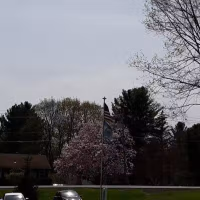 Andersen Dog Park - Schenectady, NY