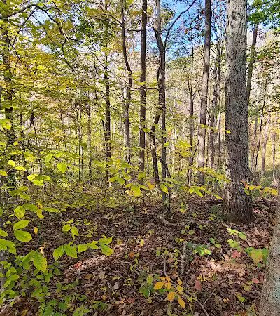 Crown City Wildlife Area - Scottown, OH