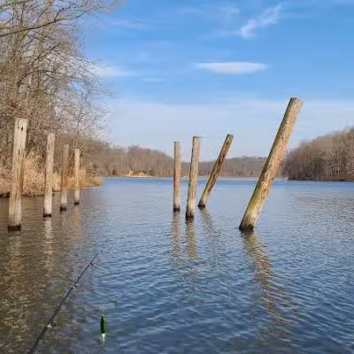 Crown City Wildlife Area - Scottown, OH