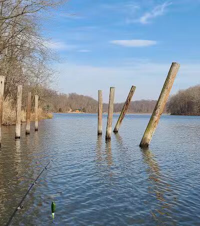 Crown City Wildlife Area - Scottown, OH