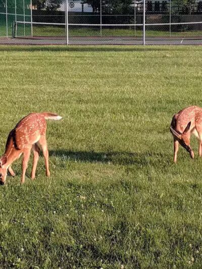 Meijer Park - Seven Hills, OH