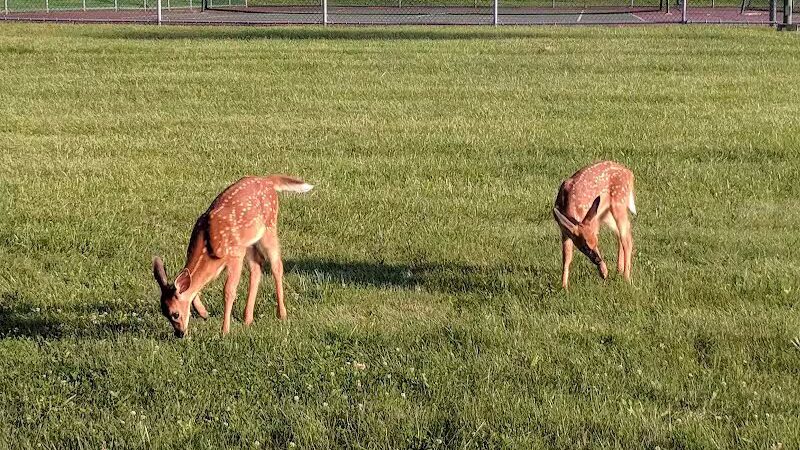 Meijer Park - Seven Hills, OH