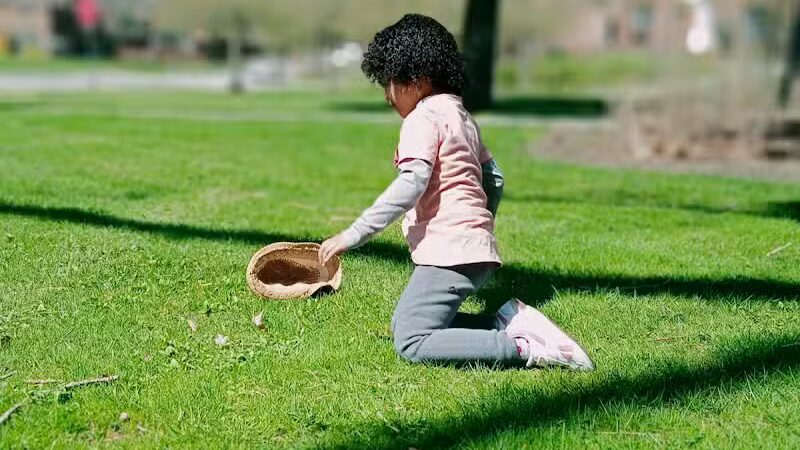 Gridley Triangle Park - Shaker Heights, OH