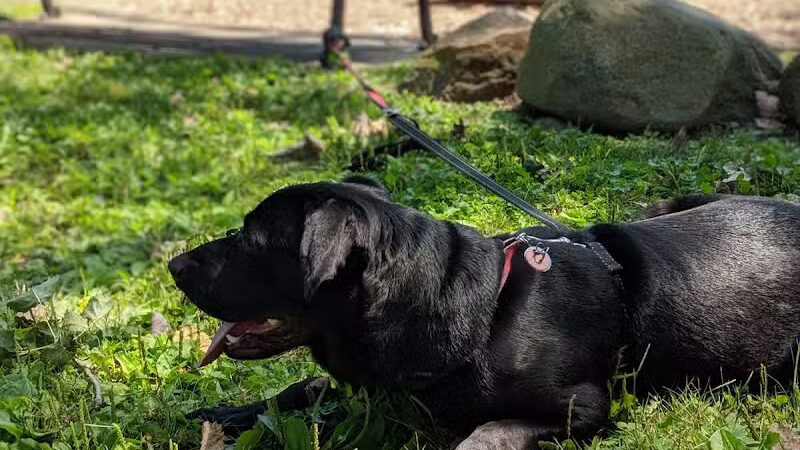 Gridley Triangle Park - Shaker Heights, OH